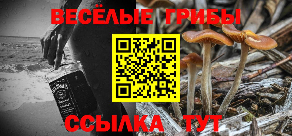 Псилоцибиновые грибы Psilocybe  Псилоцибиновые грибы Cubensis  Вход с VPN  Семилуки 